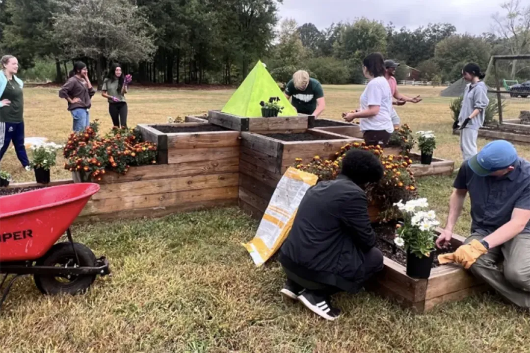 Students planting flowers